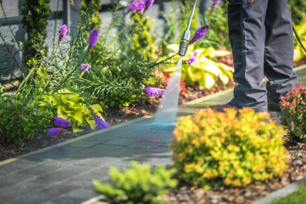 Best Roof Washing  in Forest Lake, MN